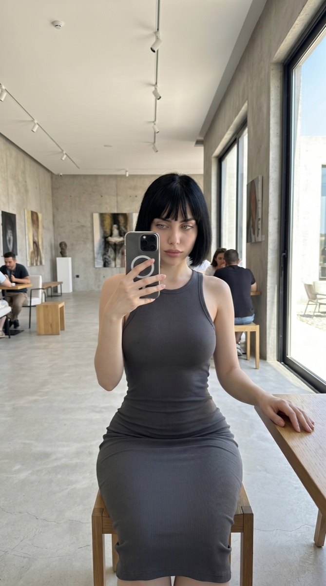 Amira 3