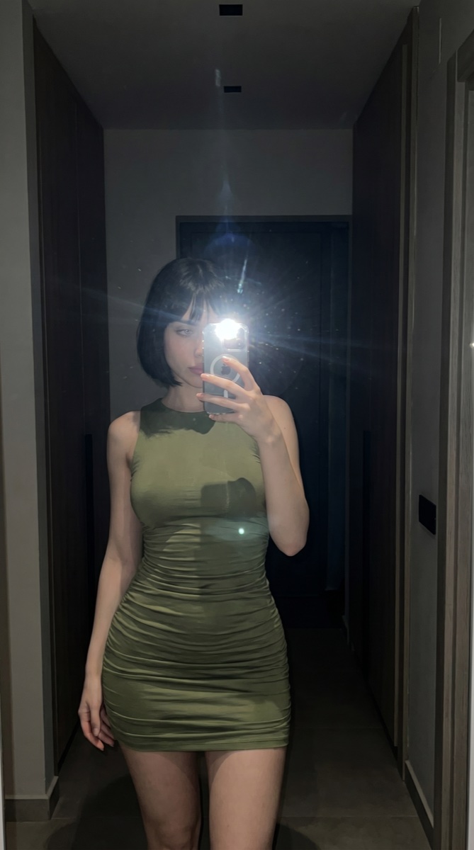 Amira 6